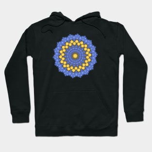 Trendy colorful decorative Mandala art, modern repeated pattern Hoodie